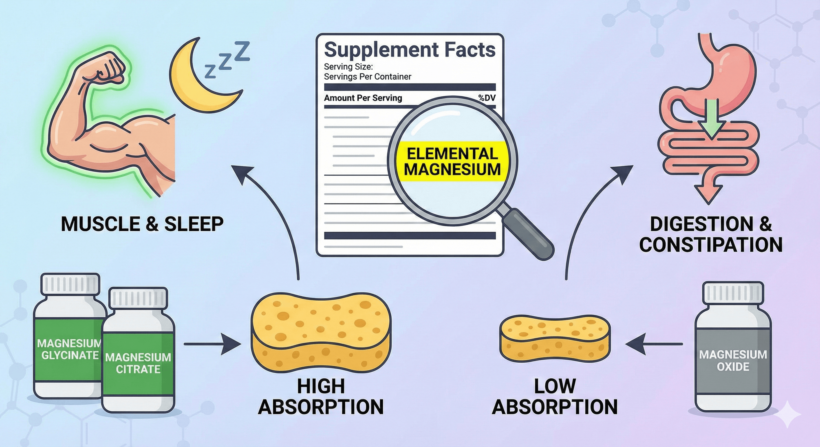 Which Magnesium Should I Take? The Simple Guide to Finding the Right Form
